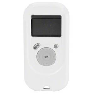 Dolphin Basic Wireless Remote - CLEARANCE ITEMS